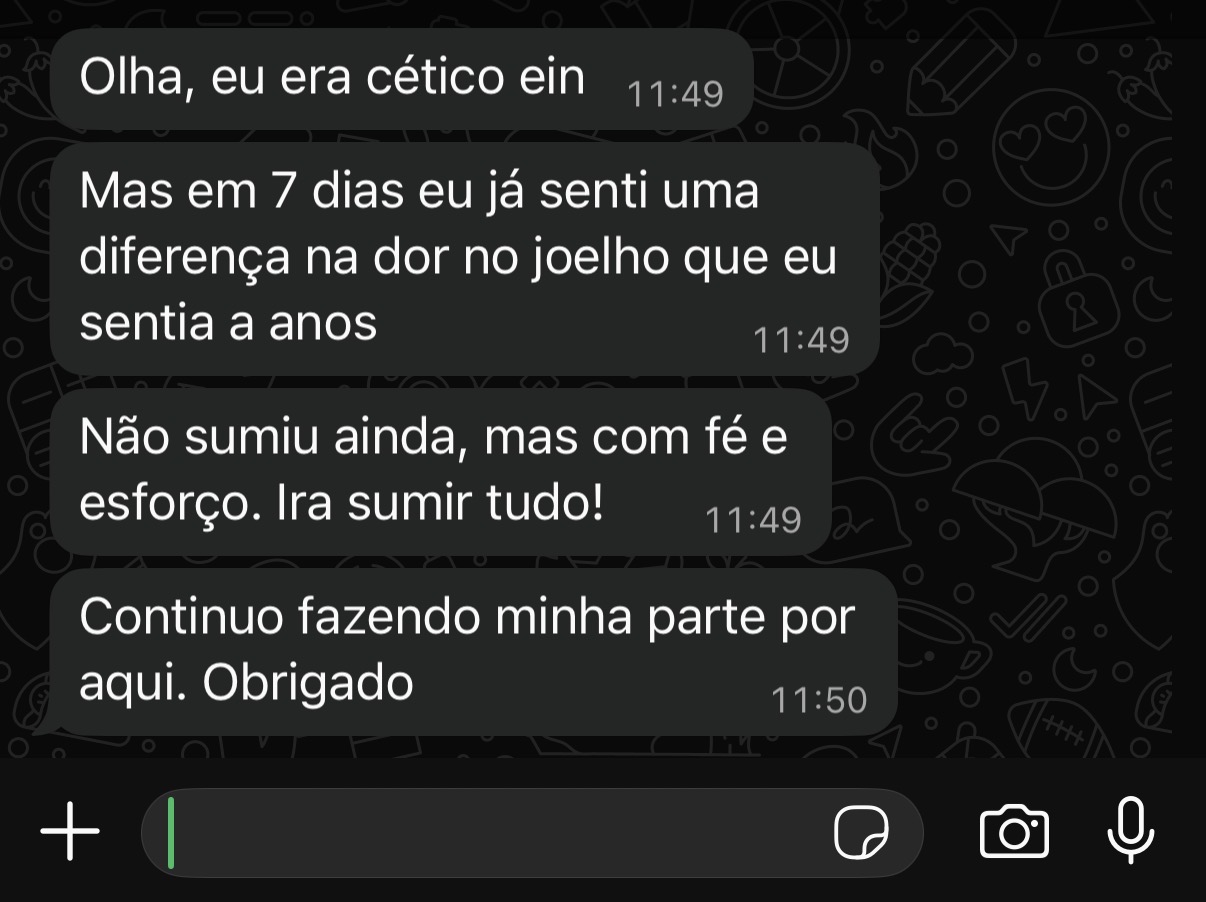Feedback 6